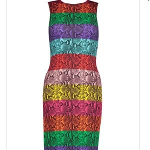 Alice and Olivia Leopard Rainbow Shift Dress- Size 10